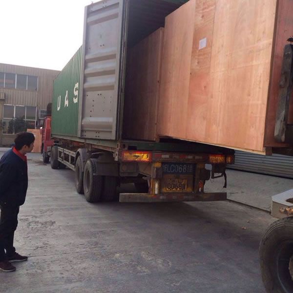 High Speed Paper Cup Forming Machine DESPU-600S